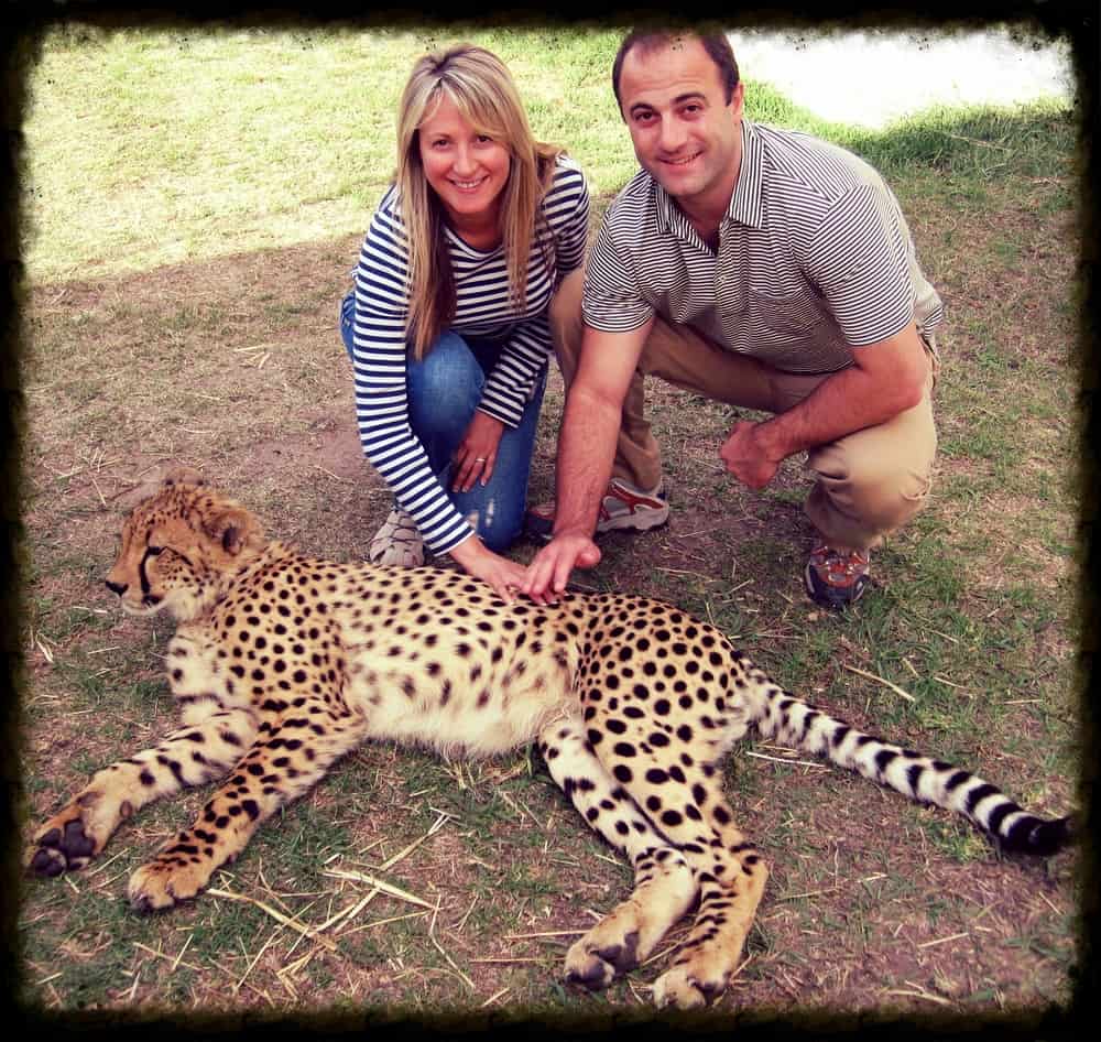 cheetah9