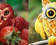 fruit art