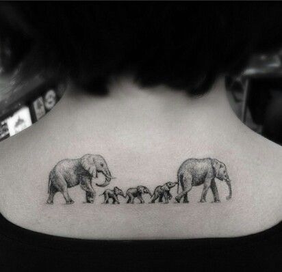 elephant19