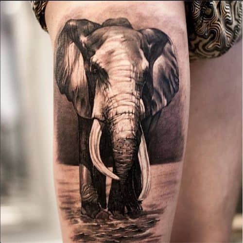 26 Trendy Elephant Tattoos That You Will Totally Fall In Love With ...
