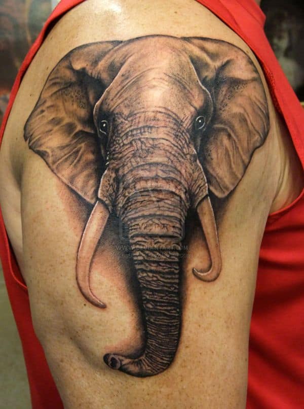elephant23
