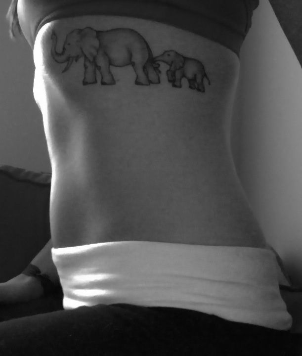 elephant26