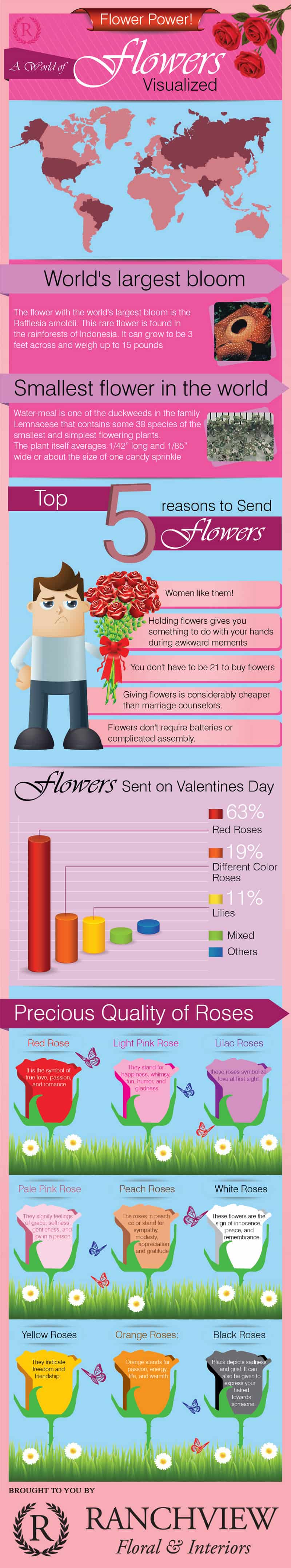 Interesting-Facts-About-Flowers