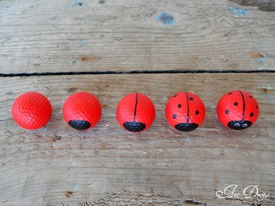 ladybug6