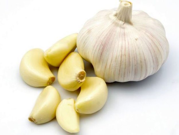 Homesteading-Guide-to-Allium-Garlic