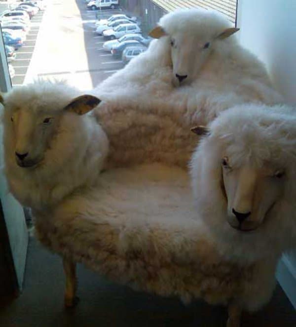 2fc872b1eda1e56c7f444e9cc1c66dc8-creepy-sheep-chair