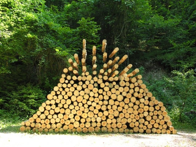 piled_forest-640x480