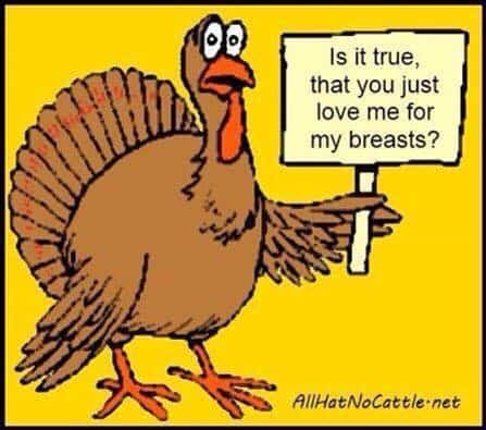 turkey-joke