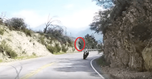 motorcycle crash cliff