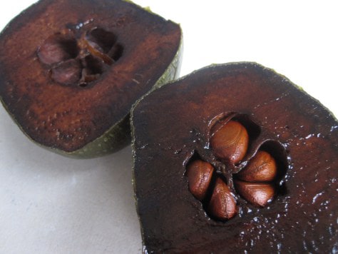 fruit chocolate Black sapote