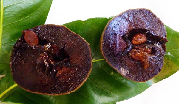 fruit chocolate Black sapote