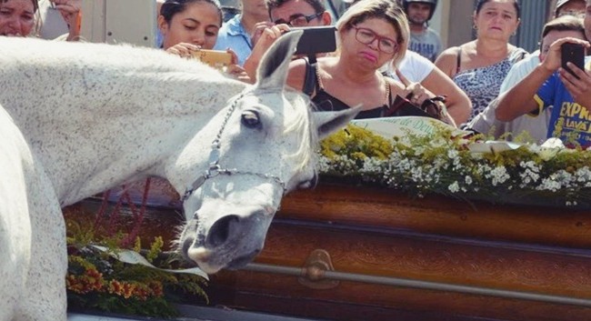 horse funeral