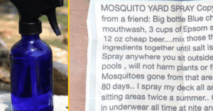 mosquito yard spray