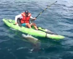 shark fishing kayak