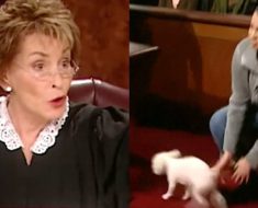 Judge Judy lost dog