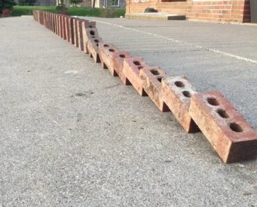 double domino effect bricks