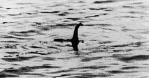 Loch Ness Monster Video Picture