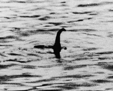Loch Ness Monster Video Picture