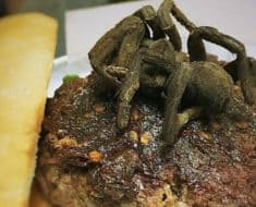 tarantula burger
