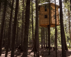 rotating tree house