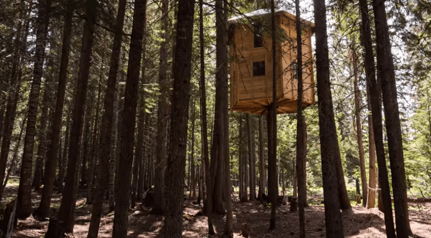 rotating tree house