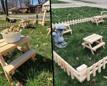 squirrel picnic tables